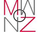 Middleware NZ